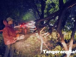 Pemkot Tangerang Bergerak Cepat Tangani Pohon Tumbang Akibat Hujan dan Angin Kencang