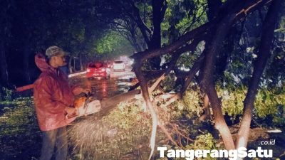 Pemkot Tangerang Bergerak Cepat Tangani Pohon Tumbang Akibat Hujan dan Angin Kencang