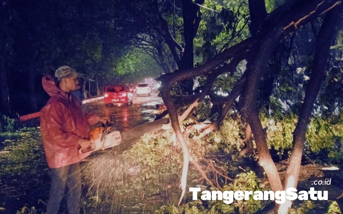 Pemkot Tangerang Bergerak Cepat Tangani Pohon Tumbang
