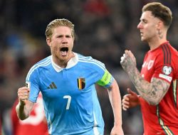 Tikus Jadi Bintang Dadakan di Laga Wales vs Belgia!