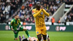 Newcastle Terancam! Kutukan Brighton Berlanjut?